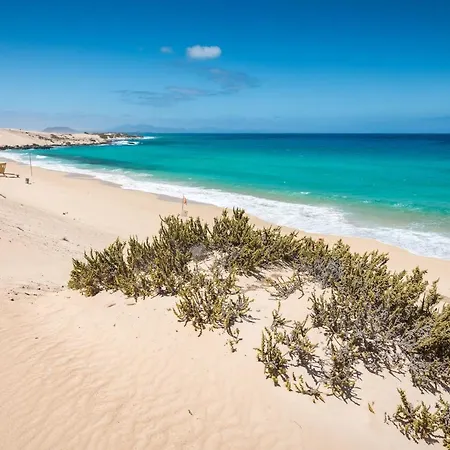 Apartman Home2book Blue Atlantic Design Corralejo